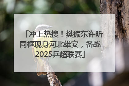 冲上热搜！樊振东许昕同框现身河北雄安，备战2025乒超联赛