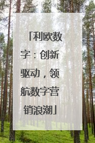 利欧数字：创新驱动，领航数字营销浪潮