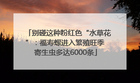 别碰这种粉红色“水草花”：福寿螺进入繁殖旺季 寄生虫多达6000条