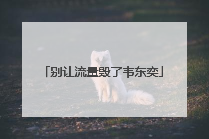 别让流量毁了韦东奕