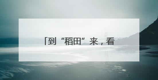到“稻田”来，看杭州上城20年来“光阴的故事”