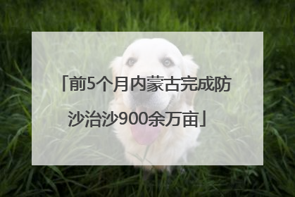 前5个月内蒙古完成防沙治沙900余万亩