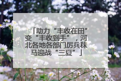 助力“丰收在田”变“丰收到手”，河北各地各部门厉兵秣马迎战“三夏”