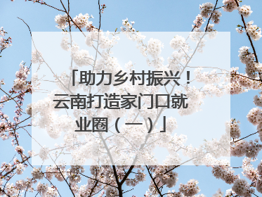 助力乡村振兴！云南打造家门口就业圈（一）
