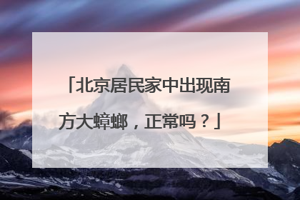 北京居民家中出现南方大蟑螂，正常吗？