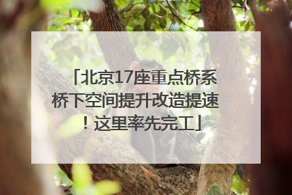 北京17座重点桥系桥下空间提升改造提速！这里率先完工