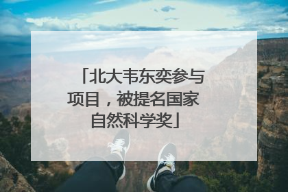 北大韦东奕参与项目，被提名国家自然科学奖