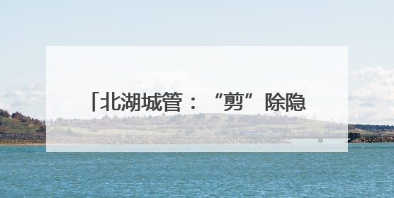 北湖城管：“剪”除隐患树“修”来安居行