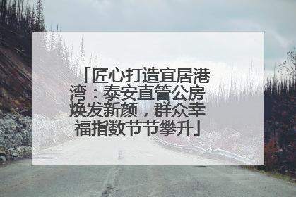 匠心打造宜居港湾：泰安直管公房焕发新颜，群众幸福指数节节攀升