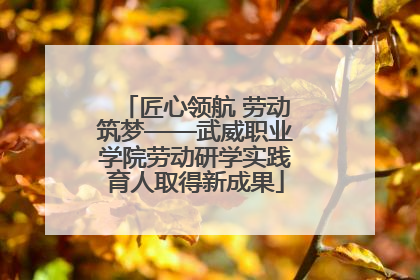 匠心领航 劳动筑梦——武威职业学院劳动研学实践育人取得新成果
