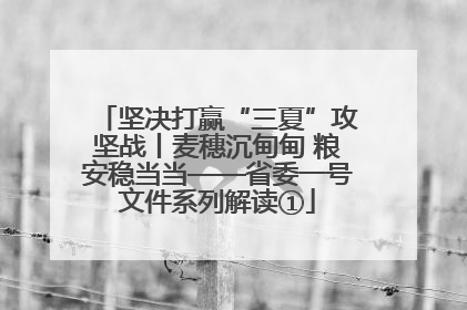坚决打赢“三夏”攻坚战丨麦穗沉甸甸 粮安稳当当——省委一号文件系列解读①