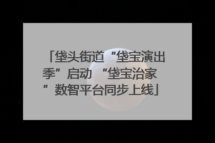 垡头街道“垡宝演出季”启动 “垡宝治家”数智平台同步上线