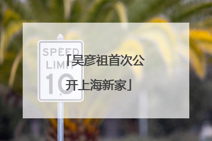吴彦祖首次公开上海新家