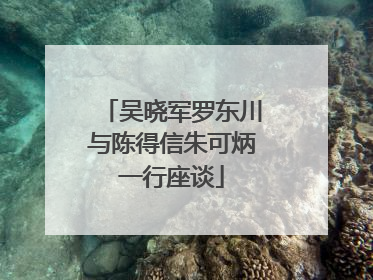 吴晓军罗东川与陈得信朱可炳一行座谈