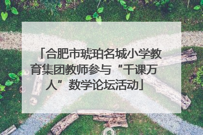 合肥市琥珀名城小学教育集团教师参与“千课万人”数学论坛活动