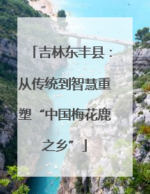 吉林东丰县：从传统到智慧重塑“中国梅花鹿之乡”