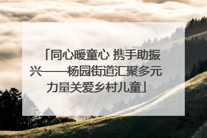 同心暖童心 携手助振兴——杨园街道汇聚多元力量关爱乡村儿童
