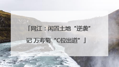 同江：闲置土地“逆袭”记 万寿菊“C位出道”