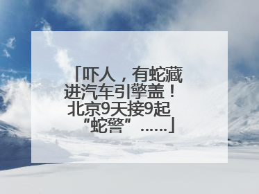 吓人，有蛇藏进汽车引擎盖！北京9天接9起“蛇警”……