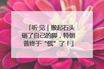 听·见｜搬起石头砸了自己的脚，特朗普终于“慌”了！