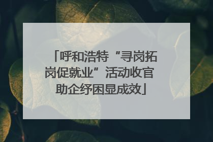 呼和浩特“寻岗拓岗促就业”活动收官 助企纾困显成效