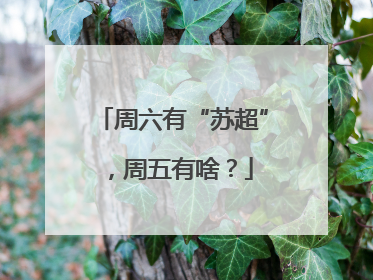 周六有“苏超”，周五有啥？