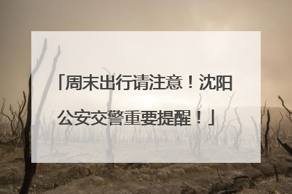 周末出行请注意！沈阳公安交警重要提醒！