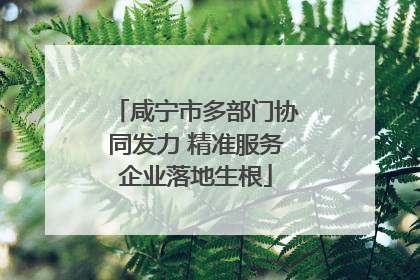 咸宁市多部门协同发力 精准服务企业落地生根