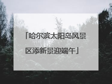 哈尔滨太阳岛风景区添新景迎端午