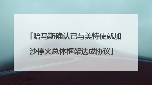 哈马斯确认已与美特使就加沙停火总体框架达成协议