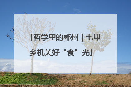 哲学里的郴州｜七甲乡机关好“食”光
