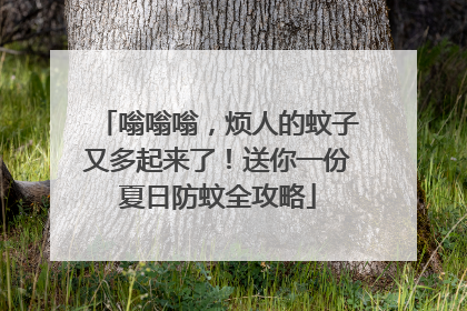 嗡嗡嗡，烦人的蚊子又多起来了！送你一份夏日防蚊全攻略