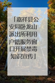 嘉祥县公安局卧龙山派出所利用户籍服务窗口开展禁毒知识宣传