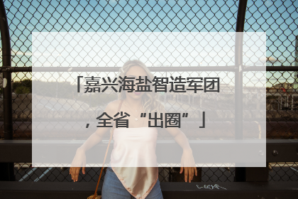 嘉兴海盐智造军团，全省“出圈”