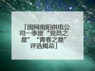 国网南阳供电公司一季度“党员之星”“青春之星”评选揭幕