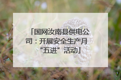 国网汝南县供电公司：开展安全生产月“五进”活动