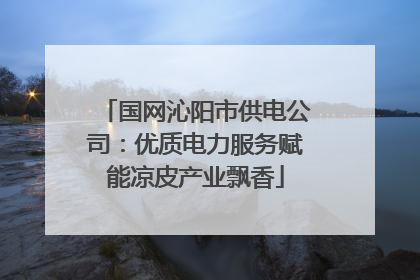 国网沁阳市供电公司：优质电力服务赋能凉皮产业飘香