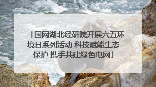 国网湖北经研院开展六五环境日系列活动 科技赋能生态保护 携手共建绿色电网