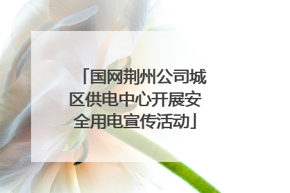 国网荆州公司城区供电中心开展安全用电宣传活动