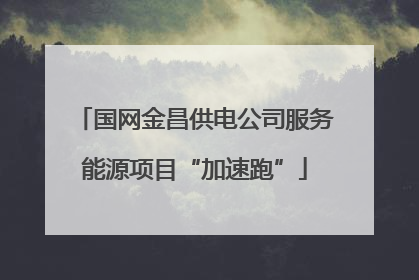 国网金昌供电公司服务能源项目“加速跑”