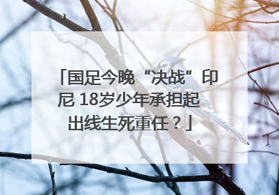 国足今晚“决战”印尼 18岁少年承担起出线生死重任？