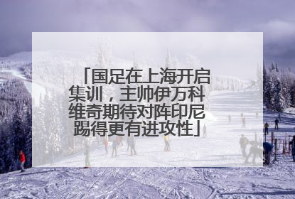 国足在上海开启集训，主帅伊万科维奇期待对阵印尼踢得更有进攻性
