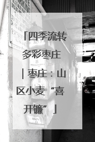 四季流转 多彩枣庄｜枣庄：山区小麦“喜开镰”