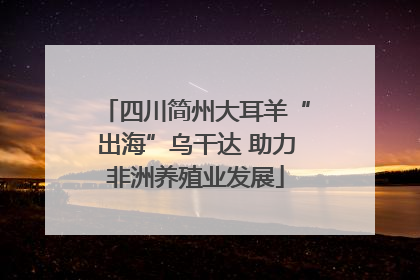 四川简州大耳羊“出海”乌干达 助力非洲养殖业发展