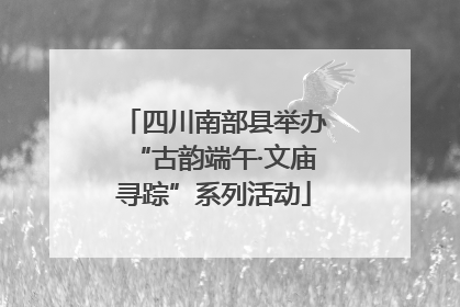 四川南部县举办“古韵端午·文庙寻踪”系列活动