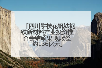 四川攀枝花钒钛钢铁新材料产业投资推介会结硕果 现场签约136亿元