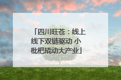 四川旺苍：线上线下双链驱动 小枇杷撬动大产业