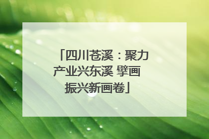 四川苍溪：聚力产业兴东溪 擘画振兴新画卷