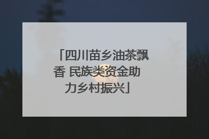 四川苗乡油茶飘香 民族类资金助力乡村振兴