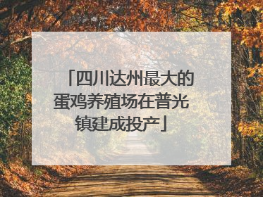 四川达州最大的蛋鸡养殖场在普光镇建成投产
